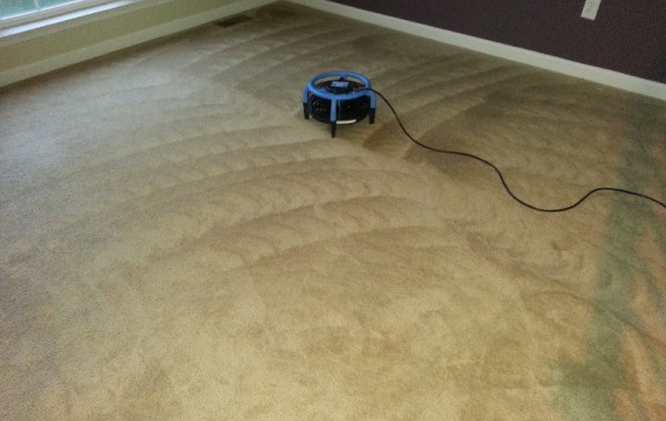 Carpet Cleaning Project